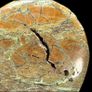 Smithsonite Heart Shaped Stone - Natural Stone, Metal Stand Image 2