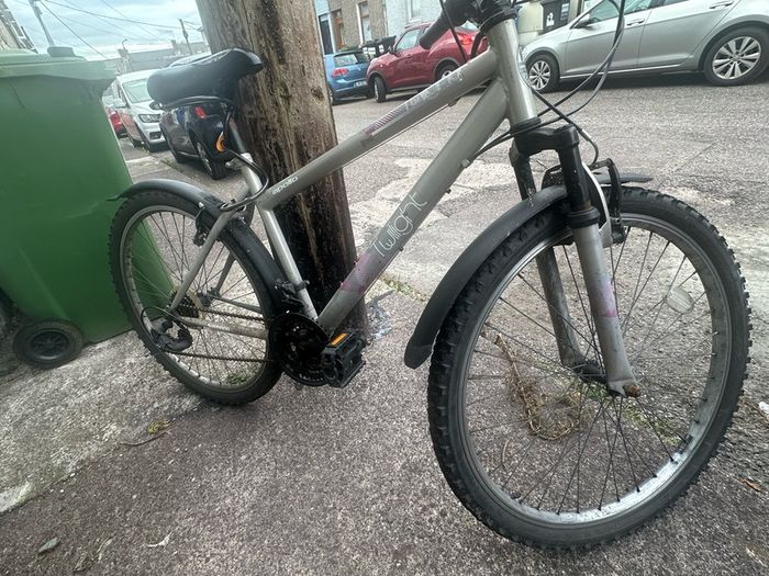 Apollo Twilight Mountain bike