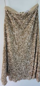 beautiful sparkling skirt