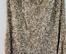 beautiful sparkling skirt