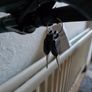 Foldable Electric Bicycle 3 Yrs Old Barely Used Great Condition ADO A16 Image 7