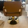 Salon Chair Image 2