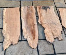 5 Live Edge Hardwood Slabs for Epoxy Resin / Coffee Tables