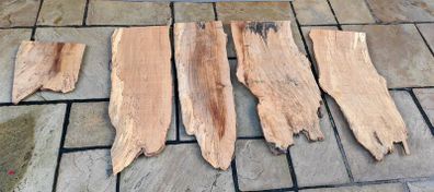 5 Live Edge Hardwood Slabs for Epoxy Resin / Coffee Tables