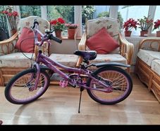 Childrens Bicycle 20"