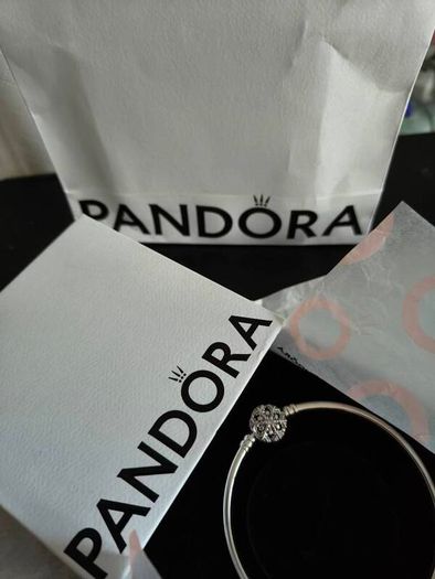Pandora bangle