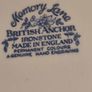 SET OF 2 British Anchor Blue and White Ironstone China Memory Lane 9 1/2 INCHES SALAD Plate , Vintage Farmhouse Antiques Image 4
