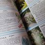 The Tree & Shrub Expert / Dr.D. G. Hessayon / 2003 Image 5