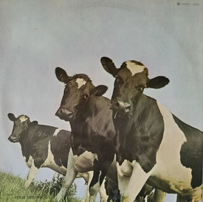 Pink Floyd : Atom heart mother , Harvest 2C06404550 ,(stereo), LP Gatefold France 1972, Vinyle VG+.