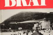 History of Bray