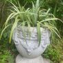 Old Garden Planters Image 9