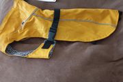 Zara dog coat