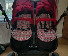 Double buggy