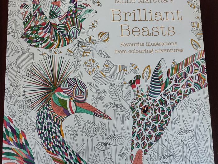 Adult colouring book