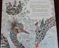 Adult colouring book
