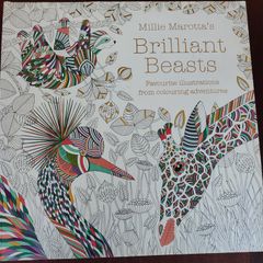 Adult colouring book