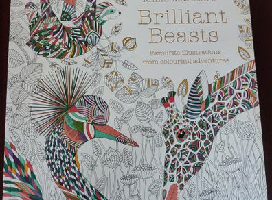 Adult colouring book