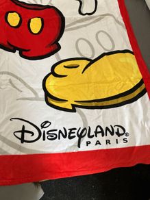 Disneyland towels