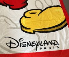 Disneyland towels