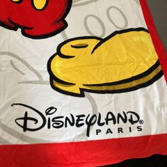 Disneyland towels