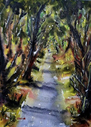 dark hedges watercolour