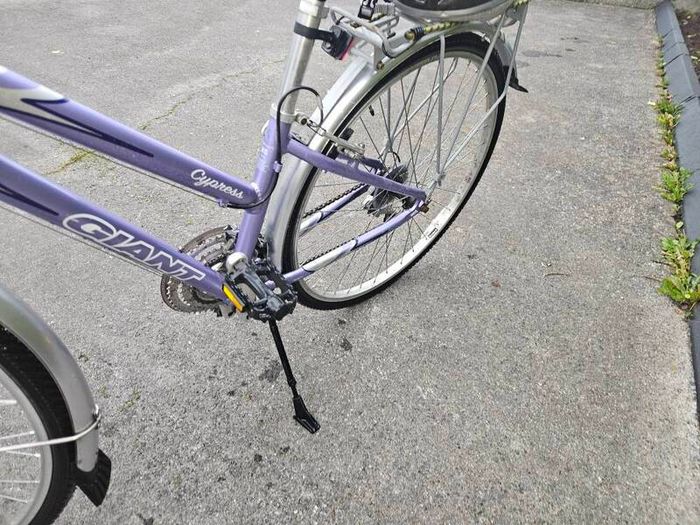 Giant Bike
