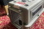 Kennel Dog and Cat