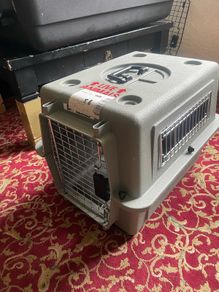 Kennel Dog and Cat