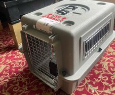 Kennel Dog and Cat
