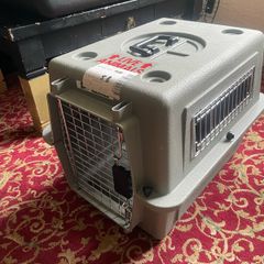 Kennel Dog and Cat