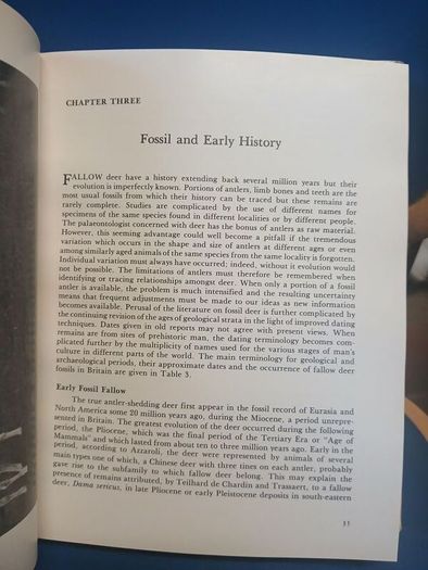 Fallow Deer book