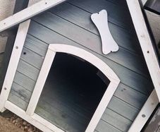 Dog kennel