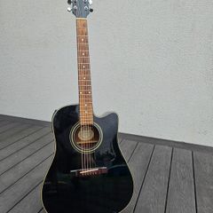 WASHBURN D10 CE Semi-Acoustic Guitar