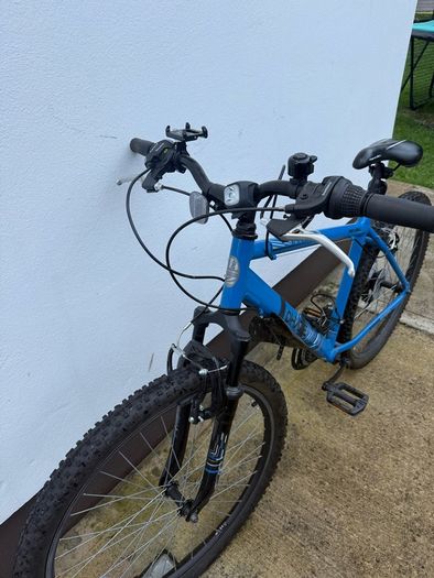 Adult Bike