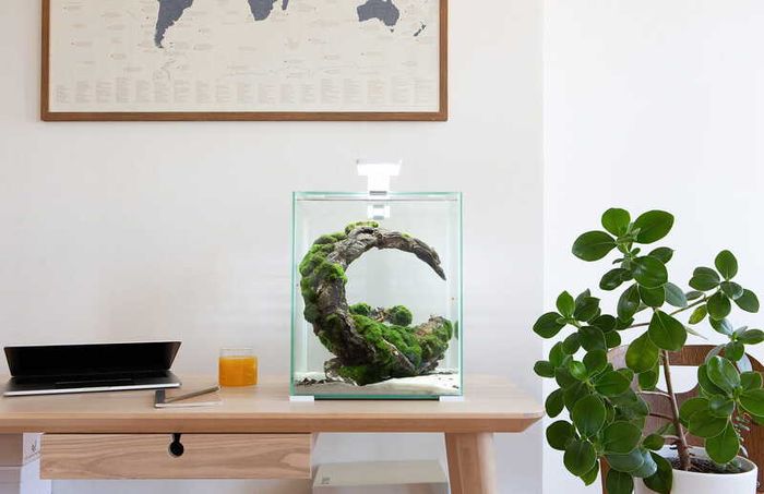Aquael Shrimp Set Smart Day&night 20 White