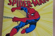The Amazing Spiderman board book