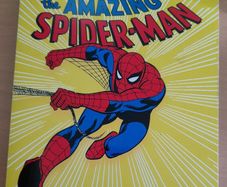 The Amazing Spiderman board book
