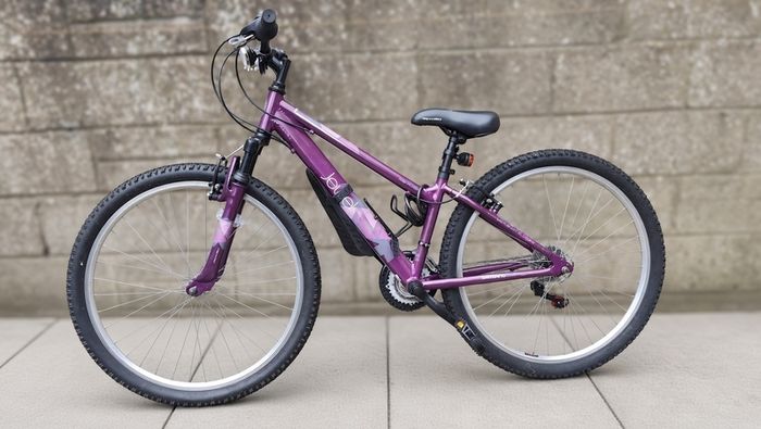 Apollo Jewel bike