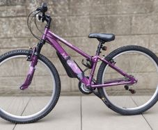 Apollo Jewel bike