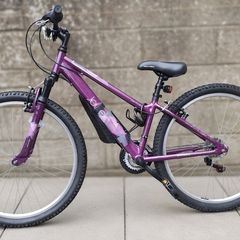 Apollo Jewel bike