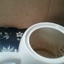 Everhot Teaset Image 6