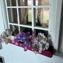 Stunning approx 140cm high 4 story extra large Georgian dolls house with contents, servants quarters and separate garage Image 8