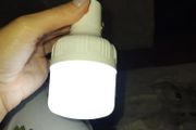 bulb