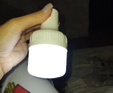 bulb
