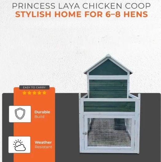 Large Chicken Coop  6-8 Birds