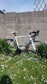 Lapierre Audacio 300 Road Bike - Shimano Sora - Size L/56cm - Fully Serviced - Excellent Condition