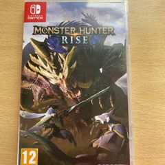 Nintendo switch game