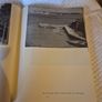 Vintage 1963 The Capuchin Annual Image 7