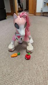 Zoomer show pony