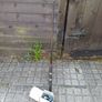 Fishing Rod & Reel Image 8